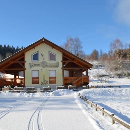 Le Chalet Du Bucheron Gérardmer Exteriér fotografie